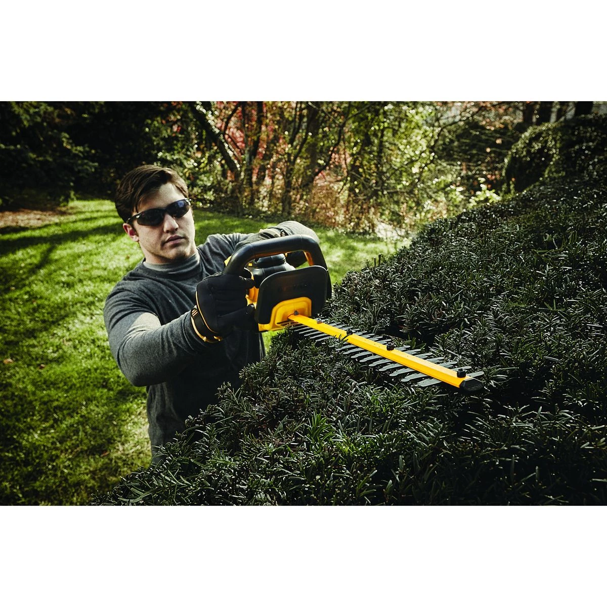 DEWALT Lithium-Ion Hedge Trimmer Bare, 20V MAX, DCHT820B 3 DEWALT Lithium-Ion Hedge Trimmer Bare, 20V MAX, DCHT820B - Image 3